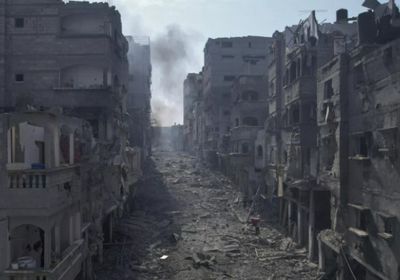 "لن أكون كبش فداء".. مقررة أممية ترفض الاستقالة