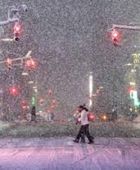 إغلاق شبكة المواصلات في نيويورك مع بدء عاصفة ثلجية كبرى