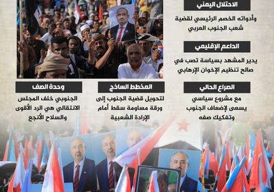 قضية الجنوب.. مطلب الدولة لا يقبل المساومة (إنفوجراف)