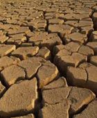 دراسة: الصدمات المناخية تهدد اقتصاد الرياضة العالمي الهائل