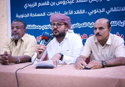 البيض: الحكومة الحالية "حكومة أمر واقع" وليست شراكة