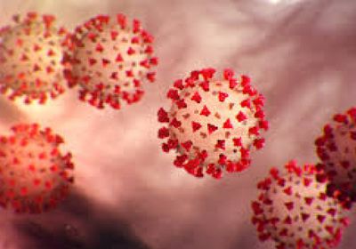 وكالة الأدوية الأوروبية توصي بالموافقة على لقاح يقاوم كوفيد والإنفلونزا