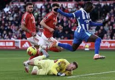 موعد مباراة برايتون ونوتينجهام فورست في الدوري الإنجليزي