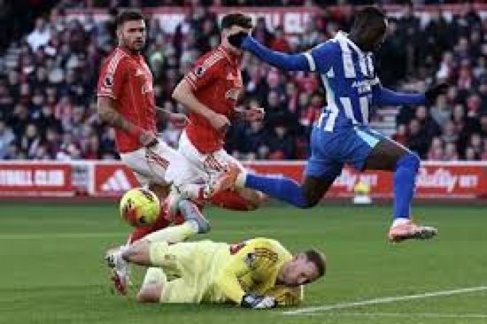 موعد مباراة برايتون ونوتينجهام فورست في الدوري الإنجليزي