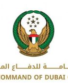 الإمارات.. الدفاع المدني يسيطر على حريق بمنطقة "نخلة جميرا" في دبي