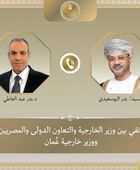 وزير الخارجية المصري يحذر من التداعيات انزلاق المنطقة إلى فوضى شاملة