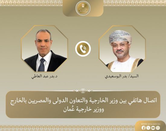 وزير الخارجية المصري يحذر من التداعيات انزلاق المنطقة إلى فوضى شاملة