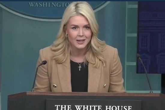 البيت الأبيض ينفي موافقة ترامب على تسليح ميلشيات كردية ضد إيران