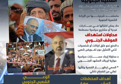 إرادة الجنوب خط أحمر.. رفض قاطع لكيانات تدعي التمثيل خارج إرادة الشعب (إنفوجراف)