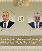 وزير الخارجية المصري يبحث مع كبير مستشاري ترامب التطورات في لبنان