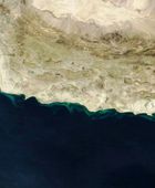 ترامب يدعو لتشكيل تحالف بحري لحماية مضيق هرمز