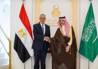 وزير الخارجية السعودي ونظيره المصري يؤكدان ضرورة خفض التصعيد