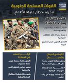 القوات المسلحة الجنوبية.. صخرة تتحطم عليها الأطماع (إنفوجراف)