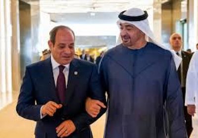 الرئيس المصري ونظيره الإماراتي يبحثان علاقات التعاون والتطورات الإقليمية