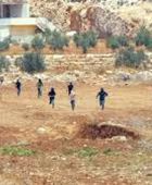 هجمات جديدة لمستوطنين إسرائيليين على قرى في الضفة الغربية المحتلة