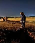 سقوط شظايا بمنطقة الشوامخ وإصابة شخص هندي بأبوظبي