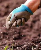 الهند تتجه نحو روسيا والمغرب لتأمين احتياجاتها من الأسمدة