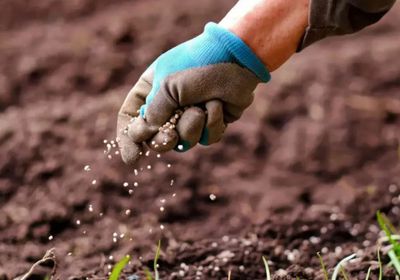 الهند تتجه نحو روسيا والمغرب لتأمين احتياجاتها من الأسمدة