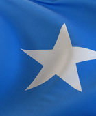 رئيس الصومال يدعو قادة ومقاتلي حركة الشباب لإلقاء أسلحتهم