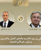 وزير الخارجية المصري وسكرتير غوتيريش يبحثان التطورات في الشرق الأوسط