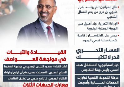 المجلس الانتقالي الجنوبي.. الفكرة التي لا تنكسر (إنفوجراف)