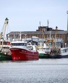 توقف أسطول الصيد الهولندي بسبب تكاليف الوقود