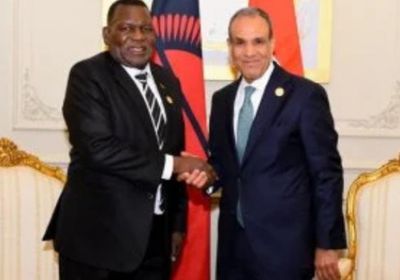 وزير الخارجية المصري يبحث مع نظيره المالاوى تعزيز العلاقات الثنائية