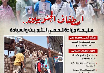 اصطفاف الجنوبيين.. عزيمة وإرادة تحمي الثوابت والسيادة (إنفوجراف)