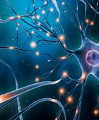 باحثون يطورون تقنية تدعم علاجات أمراض الدماغ