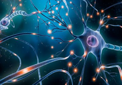 باحثون يطورون تقنية تدعم علاجات أمراض الدماغ