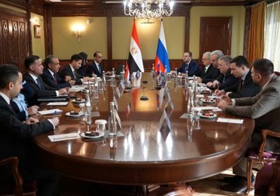 وزير الخارجية المصري يلتقي نائب رئيس الوزراء الروسي في موسكو