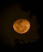 طاقم "أرتيميس" يبدأ الدخول في مرحلة الدوران حول القمر