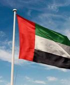 الإمارات: نأسف لإخفاق مجلس الأمن بشأن أمن الملاحة في مضيق هرمز