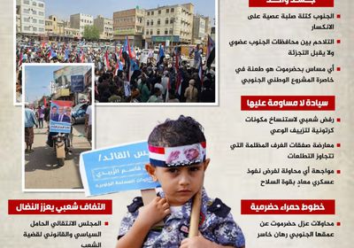 الجنوب العربي.. وحدة المصير وإرادة الأرض في مواجهة الوصاية (إنفوجراف)