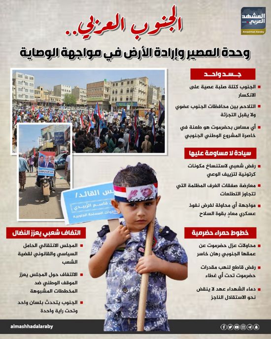 الجنوب العربي.. وحدة المصير وإرادة الأرض في مواجهة الوصاية (إنفوجراف)