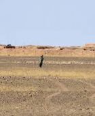 مالي تعلن تأييد خطة المغرب للحكم الذاتي في الصحراء الغربية