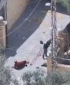 الجيش الإسرائيلي يستجوب 3 من مقاتلي حزب الله جنوبي لبنان