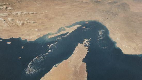 جريفين: إغلاق هرمز يقود الاقتصاد العالمي لركود