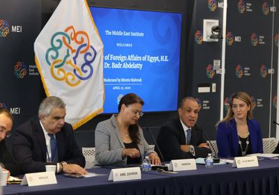 وزير الخارجية المصري يستعرض محددات موقف القاهرة من الأزمات الإقليمية