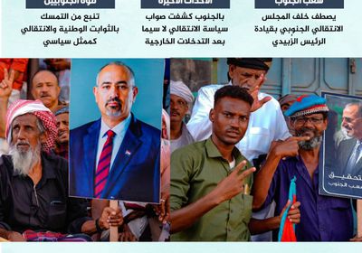 صلابة الجنوب ضد الأزمات.. تلاحم شعبي حول قيادته (إنفوجراف)