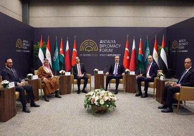 وزير الخارجية المصري يؤكد على ثوابت موقف القاهرة من القضية الفلسطينية