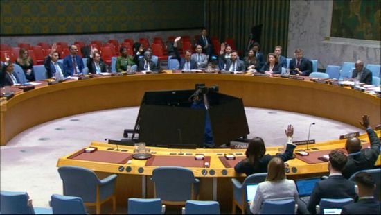 مجلس الأمن يدين مقتل جندي فرنسي في لبنان