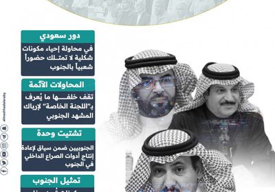 اللجنة الخاصة.. مؤامرة مستمرة (إنفوجراف)