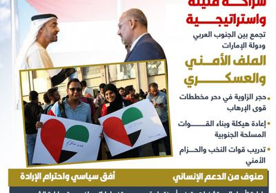 الجنوب العربي والإمارات.. شراكة صنعت أمنا ونسجت مسارا للتنمية (إنفوجراف)