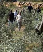 مستوطنون يعتدون على قرية شمال نابلس