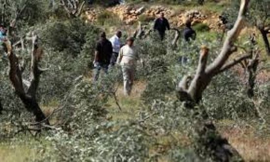 مستوطنون يعتدون على قرية شمال نابلس