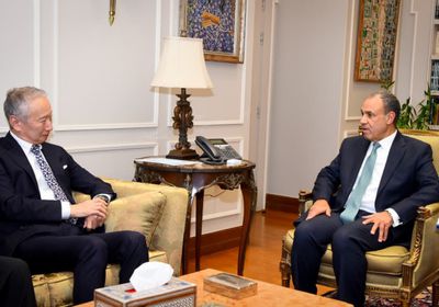 وزير الخارجية المصري يبحث مع المبعوث الياباني تطورات الأوضاع في غزة