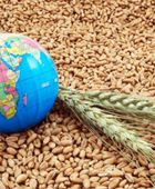 تحذيرات أممية من أزمة غذاء عالمية بظل الحرب