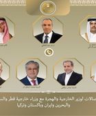 وزير الخارجية المصري يبحث جهود التهدئة مع نظرائه في عدد من الدول