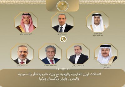 وزير الخارجية المصري يبحث جهود التهدئة مع نظرائه في عدد من الدول